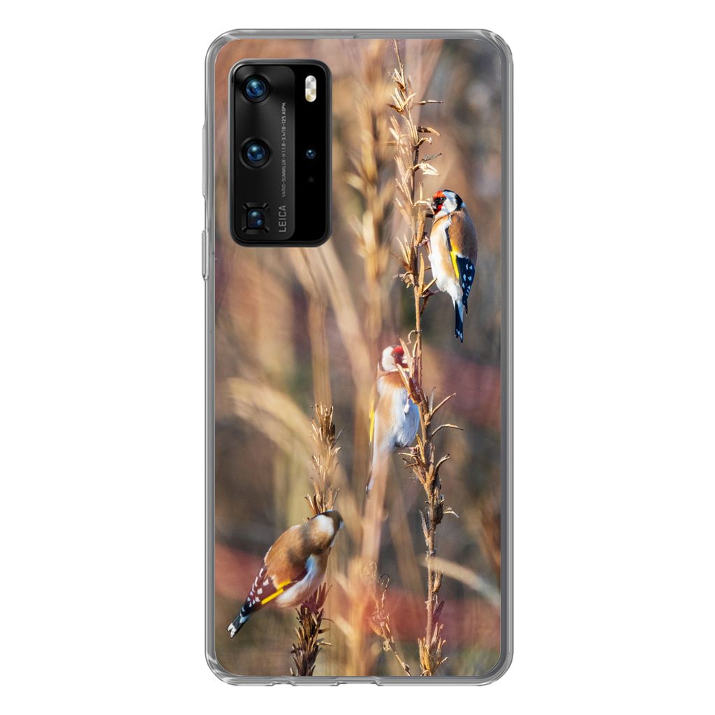 MuchoWow Handyhülle Schutzhülle Hülle für Huawei P40 Pro Vögel - Äste - Wald Silikon Softcase Handy Hülle - Schutz