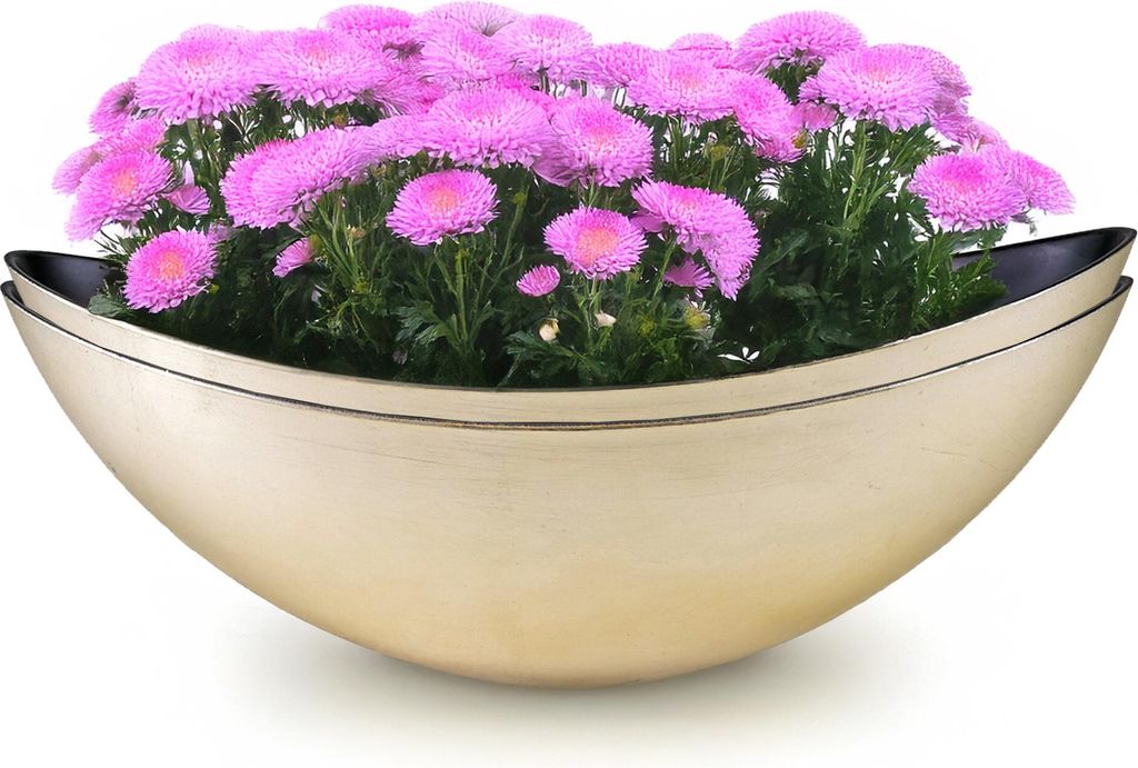 Große Pflanzschalen 2er oval 55 cm Dekoschalen Champagner-Gold