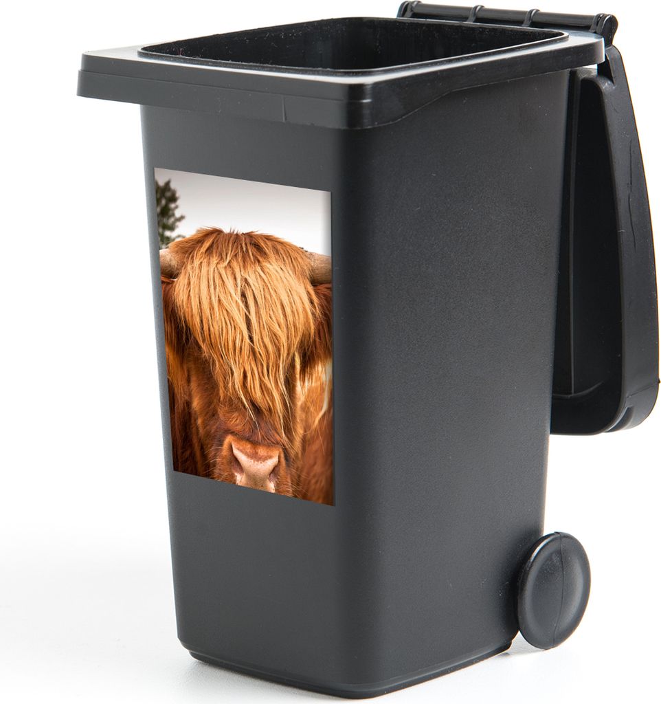 MuchoWow Mülltonnenaufkleber Schottische Highlander - Braun - Gras 40x60 cm - Mültonnen-sticker - Sticker - Aufkleber für die Mülltonne