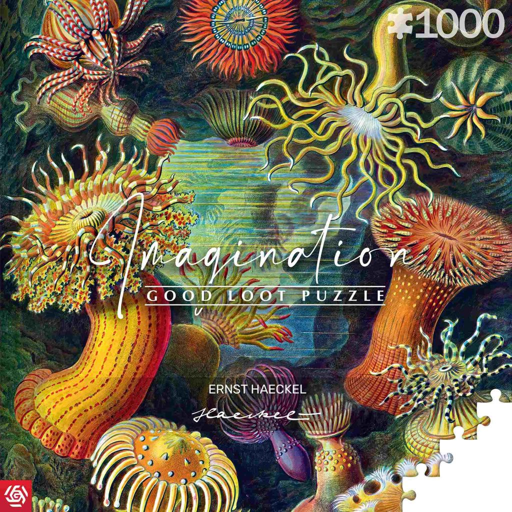 Cenega Imagination, 1000 kusov, Umenie Obrázok produktu 