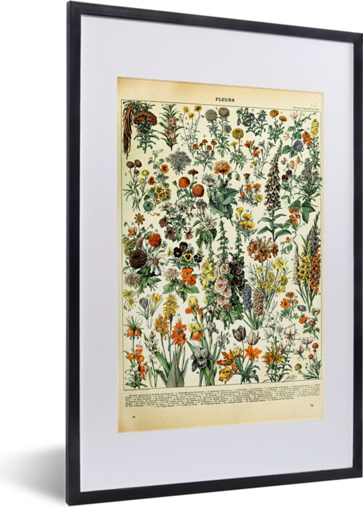 MuchoWow Gerahmtes Poster Blumen - Pflanzen - Vintage - Adolphe Millot - Kunst 40x60 cm - Poster mit Schwarzem Bilderrahmen Wandposter Rahmen Fot...