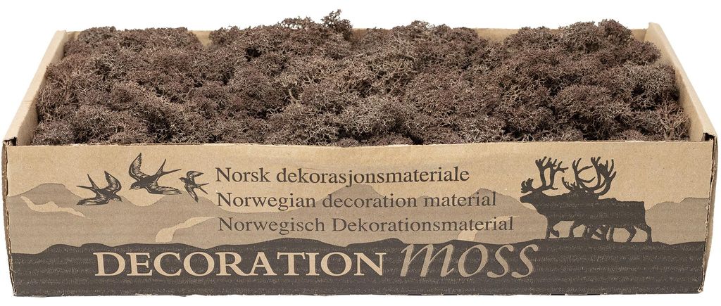 Natürliches Islandmoos Braun 500g – Dekorationsmaterial für Produktbild 