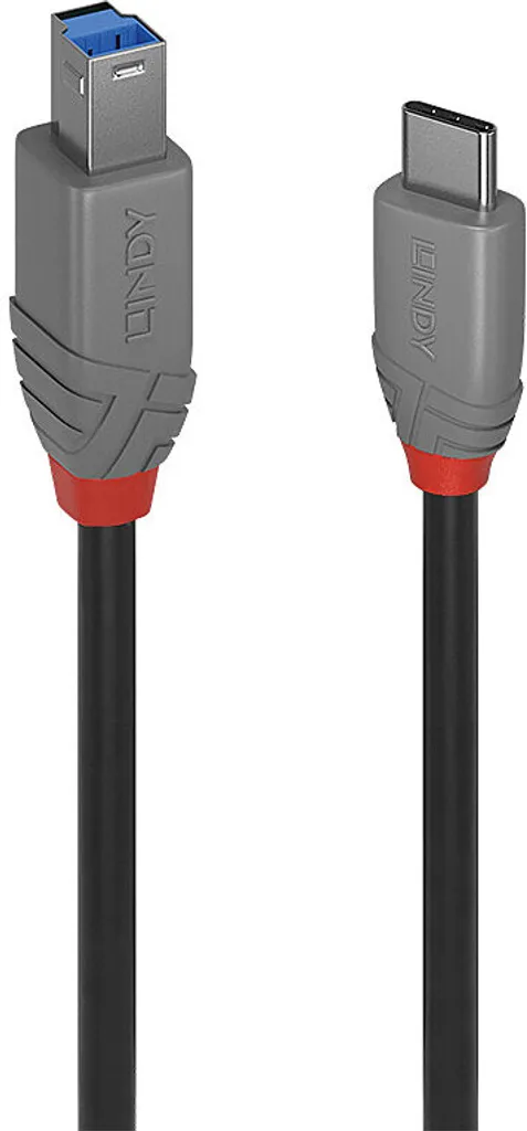 Lindy 2 m di cavo USB 3.2 da tipo C a B, linea Anthra