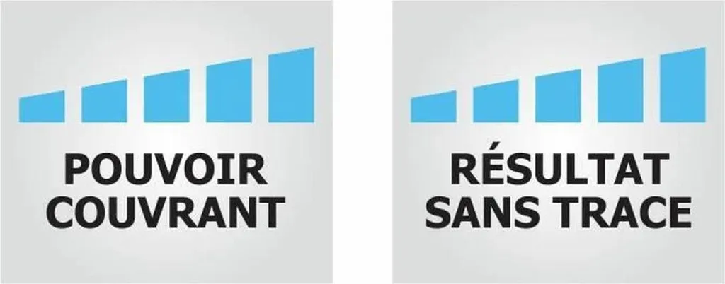 Peinture Ripolin Blanc Mat - Finition Sans Traces pour Murs Difficiles - 4