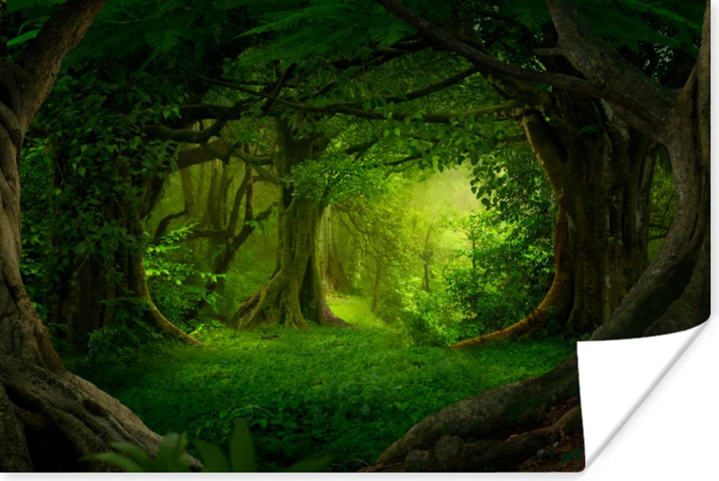 MuchoWow Poster Bäume - Wald - Grün - Landschaft - Natur 30x20 cm - Plakate - Print