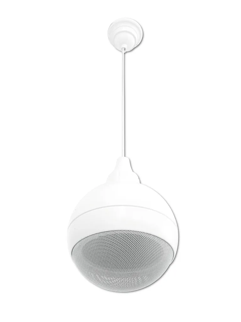 Haut-parleur de plafond pour grands espaces et hauts plafonds ELA - 2