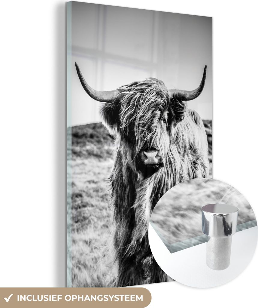 MuchoWow Glasbilder - Bilder auf Wandbild - Foto auf Glas Schottisches Hochlandrind - Natur - Kuh - Schwarz - Weiß 80x120 cm Wanddekoration aus Gl...