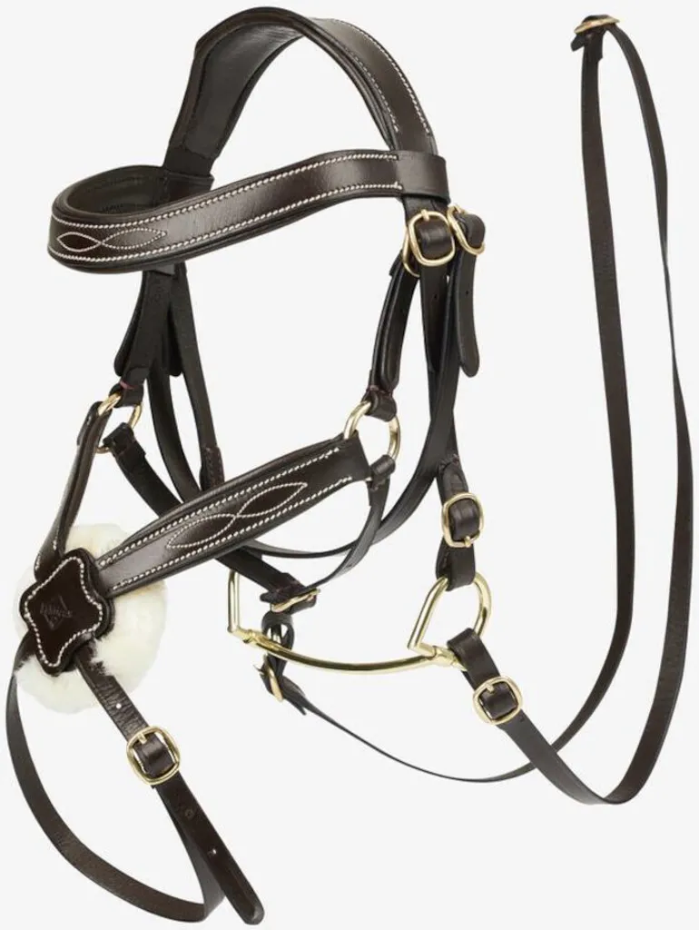 Bridon Grackle Hobby Horse LeMieux - Filet Réglable au Design Réaliste