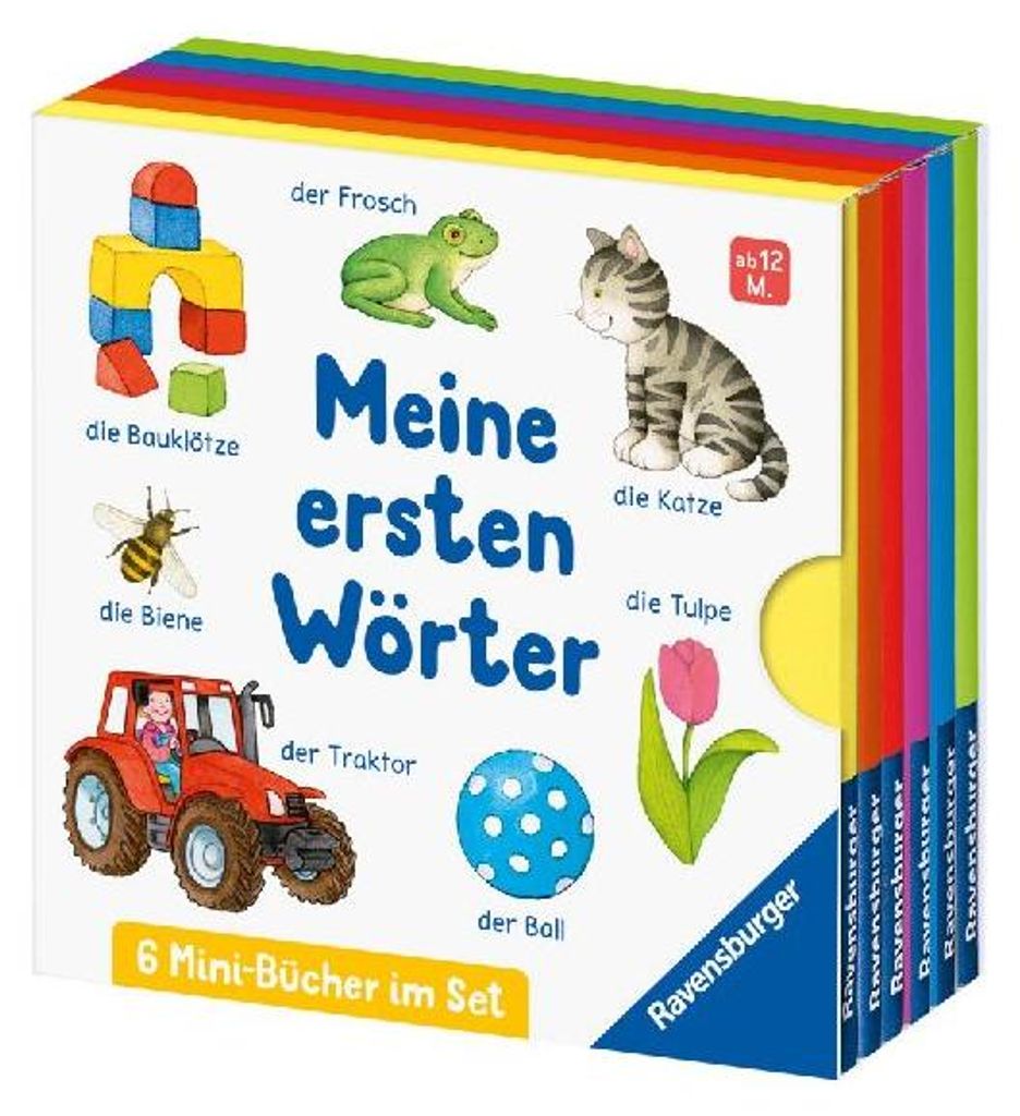 Meine ersten Wörter: 6 Mini-Bücher im Set Produktbild 