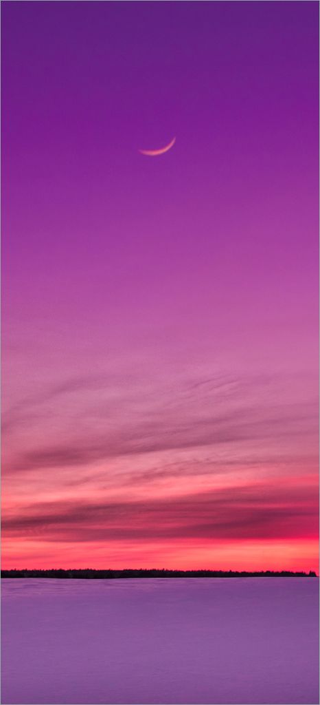 Türtapete Türposter Mond und Baum am Abend bei Schnee - Größe: 93 x 205 cm