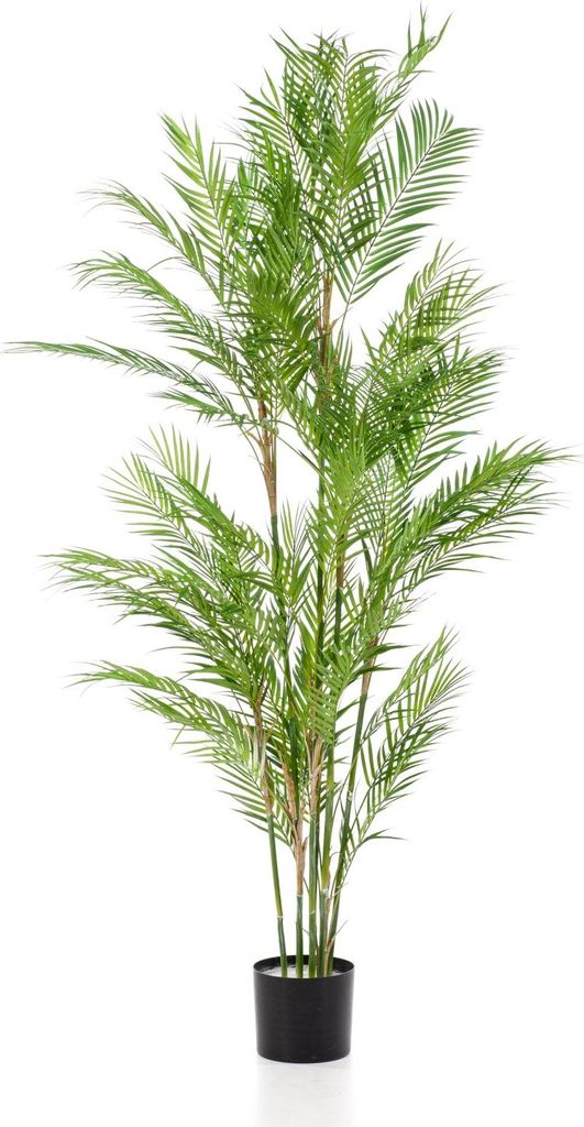 artplants.de Plastik Bergpalme REDOVAN, 180cm - Chamaedorea künstlich/Kunstpalme
