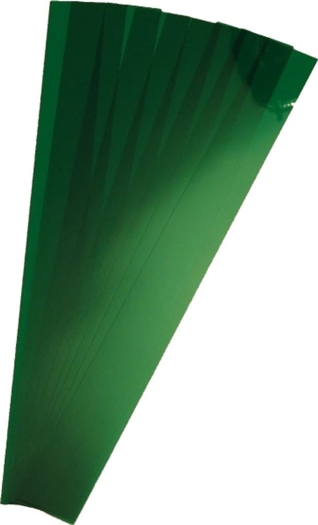 Kunststoffbänder Planrecord transparent B300xH32mm VE=10 Stück hellgrün