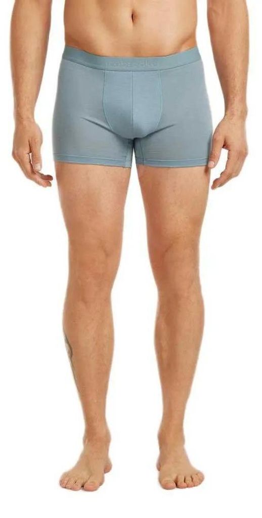 Icebreaker Merino 125 Cool-lite Anatomica Boxershorts Blau M Mann Blau M
