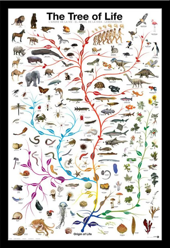 Affiche scientifique Arbre de Vie sous cadre noir en bois MDF Shinsuke