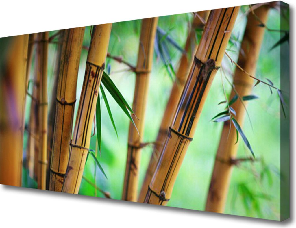 Tulup Leinwand-Bilder 100x50 Wandbild Canvas Kunstdruck Bambusrohr Natur