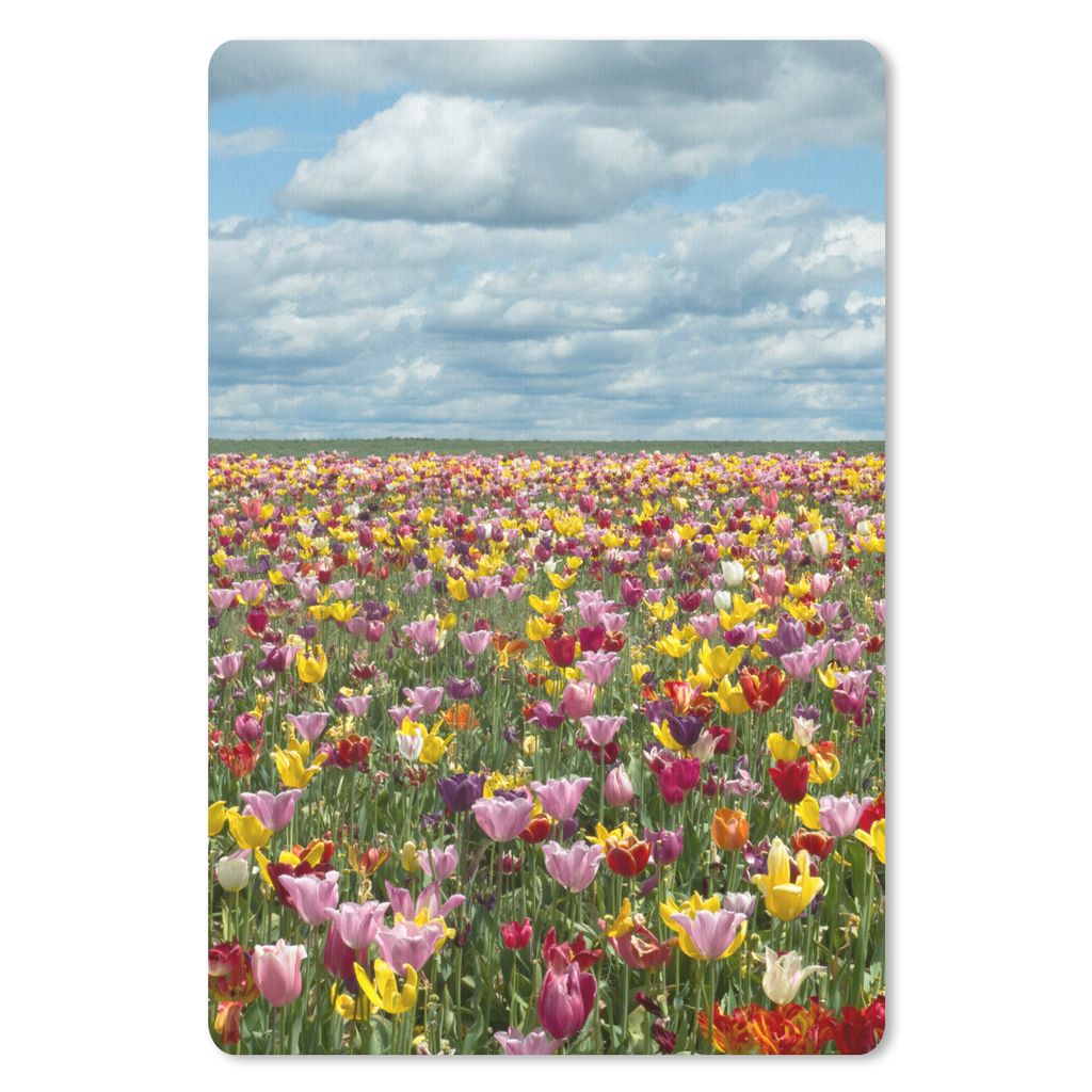 MuchoWow Mauspad Mousepad Tulpen - Farben - Wolken 18x27 cm - Mousepads - Maus Mat - Pad - Mausunterlage