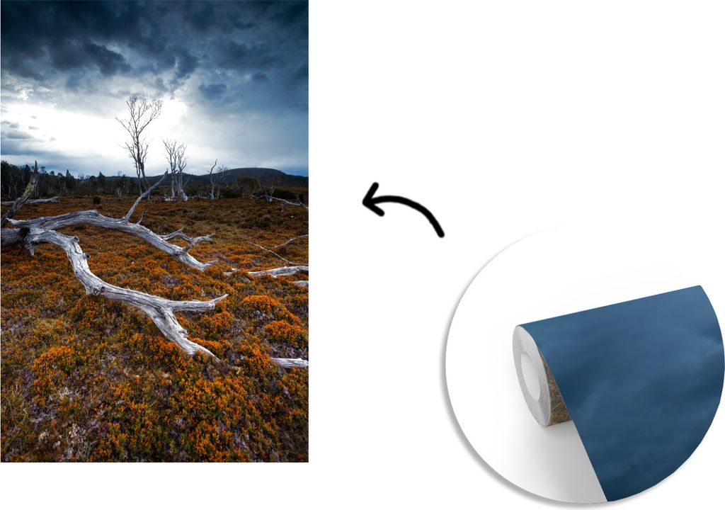 MuchoWow Fototapete für Wohnzimmer oder Schlafzimmer Wandtapete Vinyl Motivtapete Baum Cradle Mountain National Park Tasmanien - 175x260 cm - Vi...