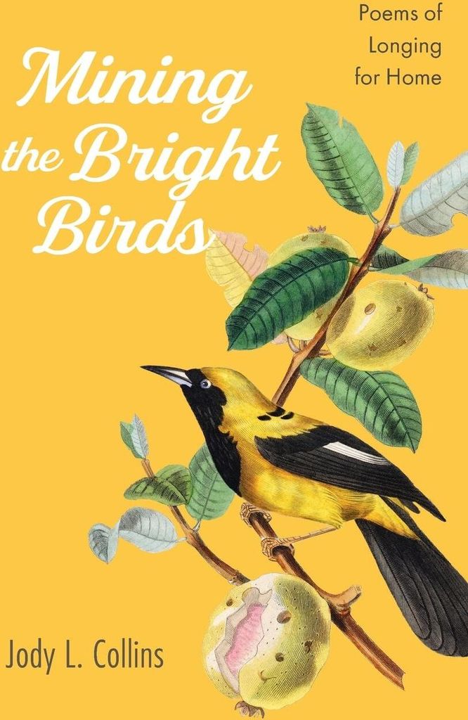 Mining the Bright Birds