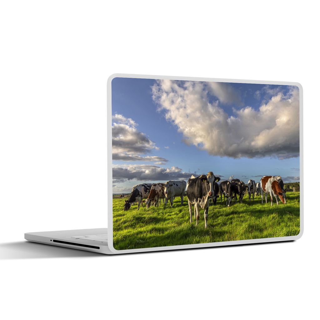 MuchoWow Laptop Aufkleber Sticker Cover Kühe - Licht - Gras 30x22 cm - Laptop-Sticker