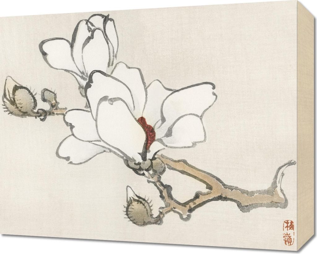 Bild 50x40cm Magnolia, Kōno Bairei Japanisches Vintage für das Wohnzimmer