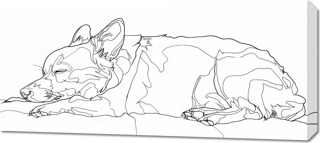 Image Grand Format 90x40 cm Chien Endormi - Impression Haute Définition