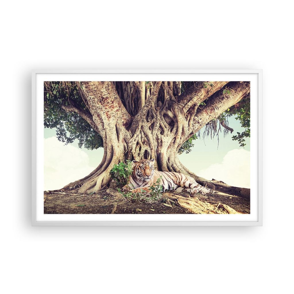 Gerahmtes Poster - Weißer Rahmen - Tiger Wild Baum - 91,5x61 cm - Wand Bild - Wanddeko - Wandbilder - Kunstposter - Wandposter - Bilderrahmen - Bi...