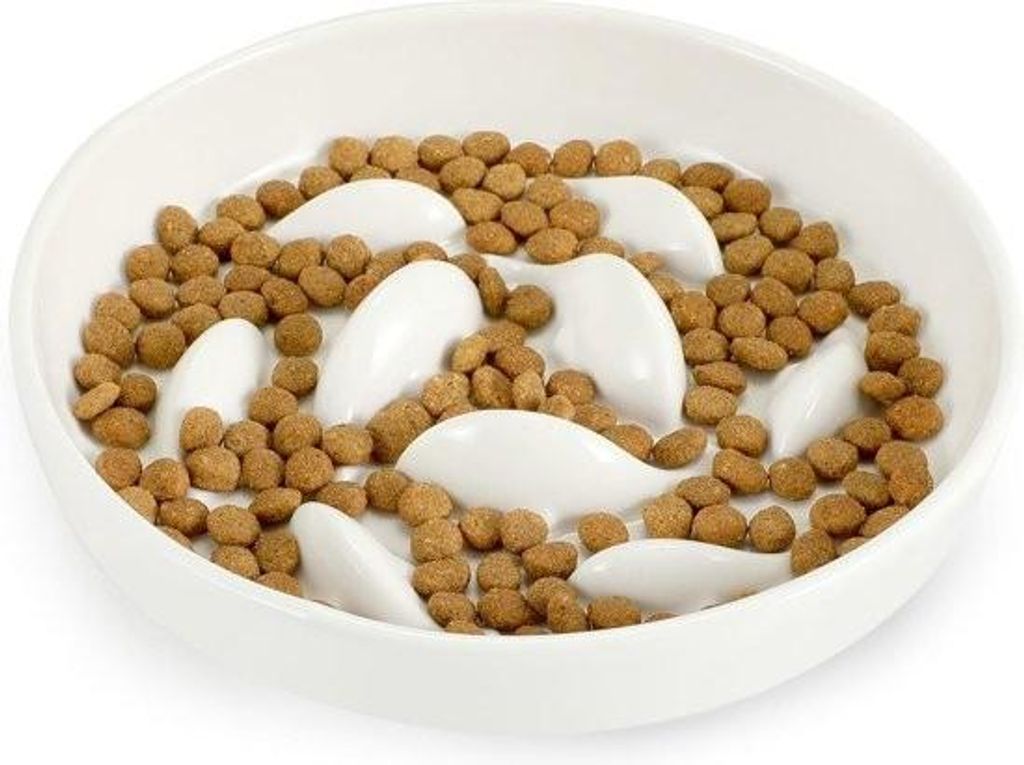 Anti-Schleuder-Katzennapf aus Keramik, Futternapf für langsames Fressen, Nassfutternapf für Katzen, Anti-Schleuder-Napf für kleine Katzen und Hunde