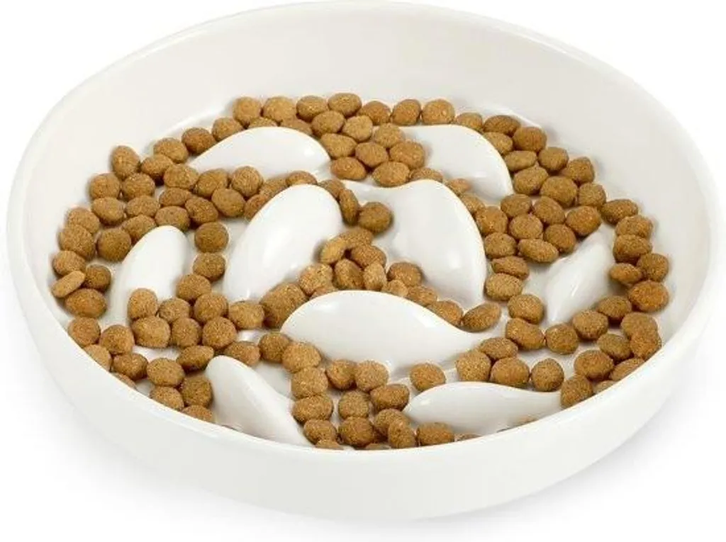 Gamelle anti-glouton pour chat en céramique, bol repas lent ergonomique