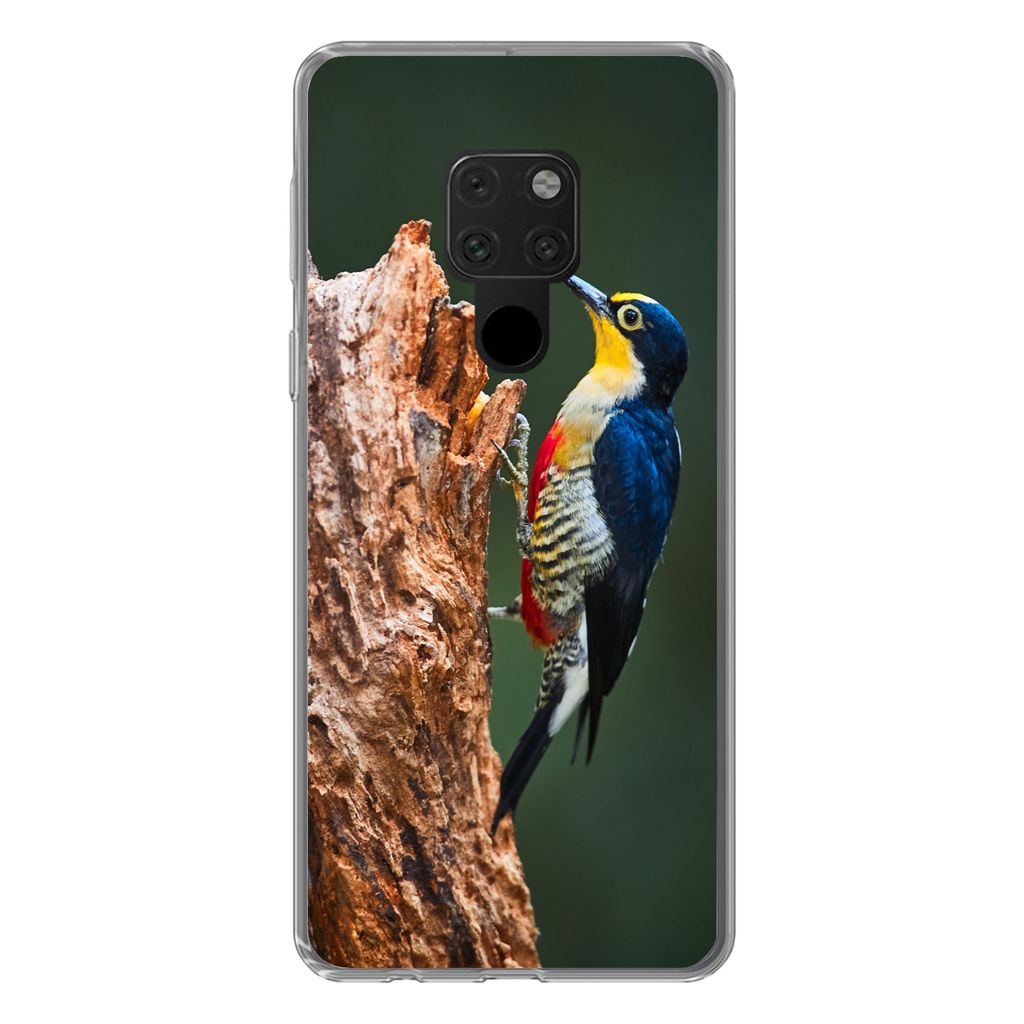 MuchoWow Handyhülle Schutzhülle Hülle für Huawei P40 Lite Nahaufnahme eines bunten Vogels auf der Seite eines Baumstamms Silikon Softcase Han...