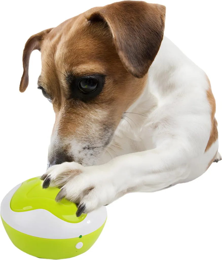 Interprète intelligent AFP pour chiots avec analyseur vocal intégré