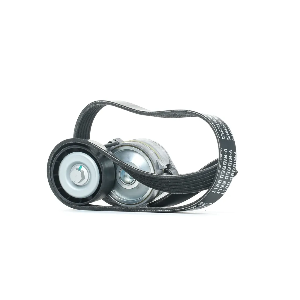 Courroie striée haute résistance OE 9653197280 pour C5 II et Ford S-Max