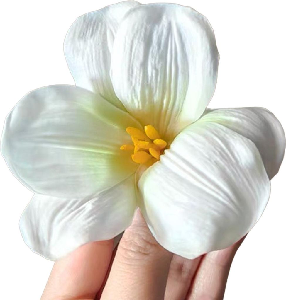 Frauen Haar Clip 3D Blume Dekor Seite Bang Haar Pin Sommer Strand Meer Haarnadel Foto Requisiten Haarnadel Haar Zubehör