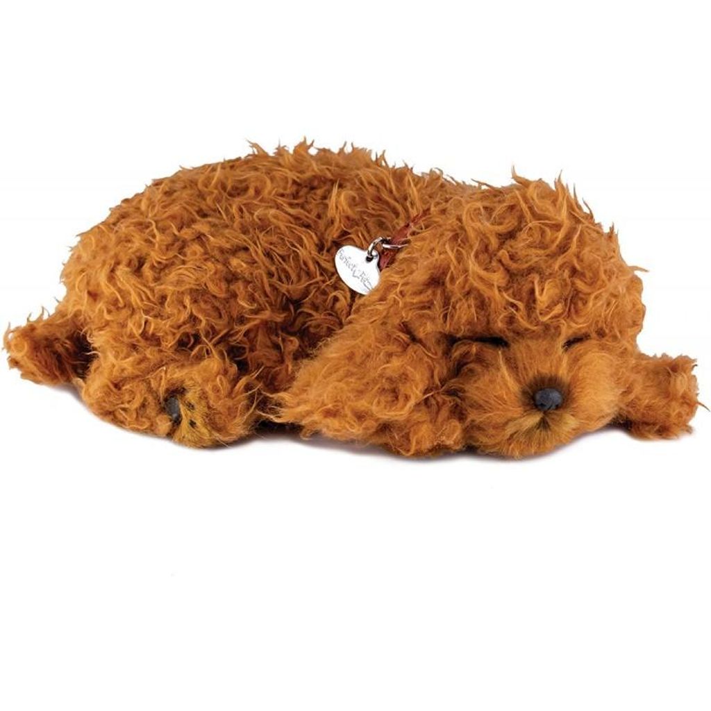 Perfect Petzzz 96545 Zwergpudel Produktbild 