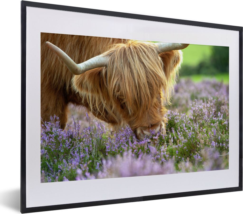 MuchoWow MuchoWow Gerahmtes Poster Schottisches Hochlandrind - Blumen - Kuhkopf 40x30 cm - Poster mit zchwarzem Bilderrahmen - Bilderrahmen - P...