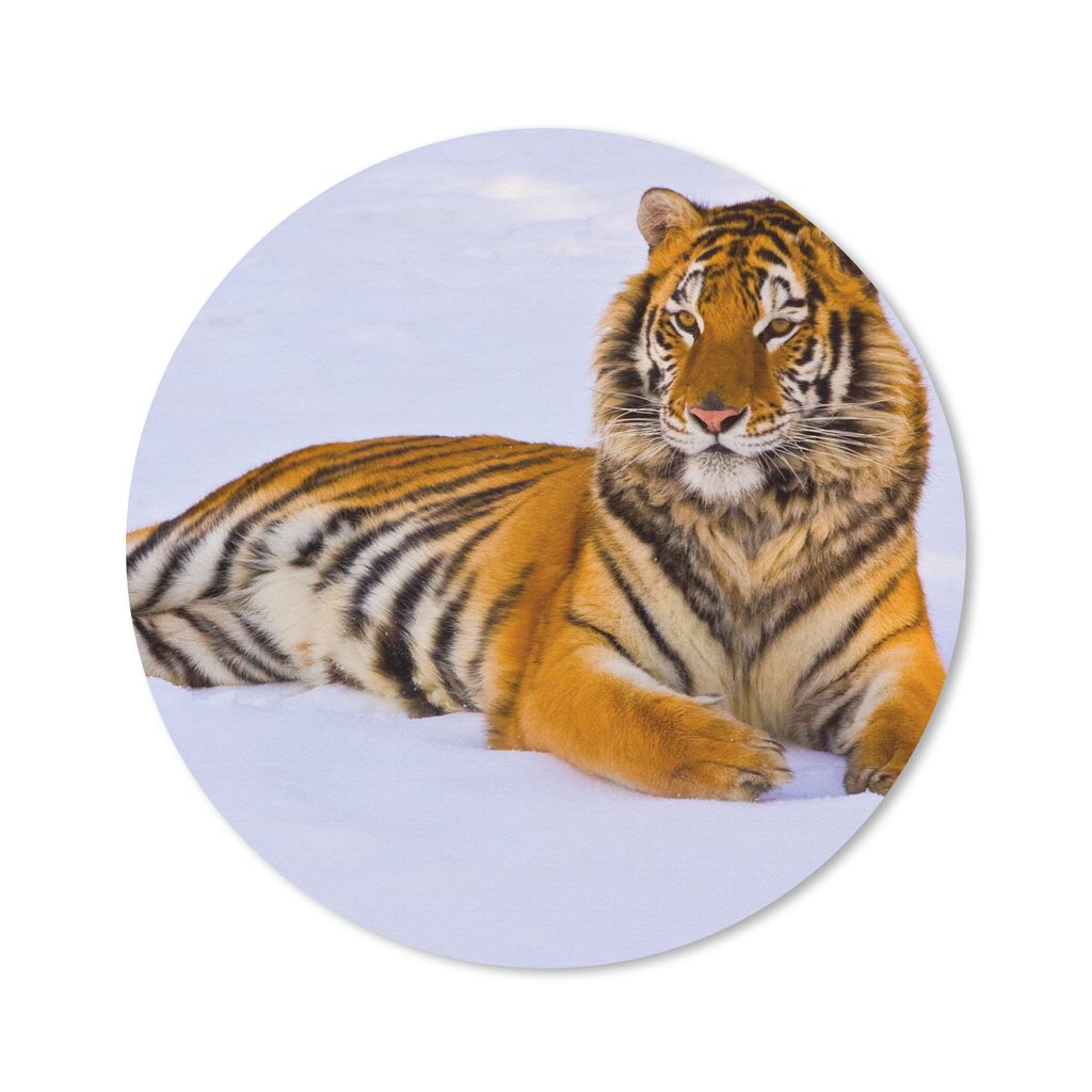 MuchoWow Mauspad Mousepad Tiger - Schnee - Winter - Tiere 50x50 cm - Mousepads - Maus Mat - Pad - Mausunterlage - Vinyl