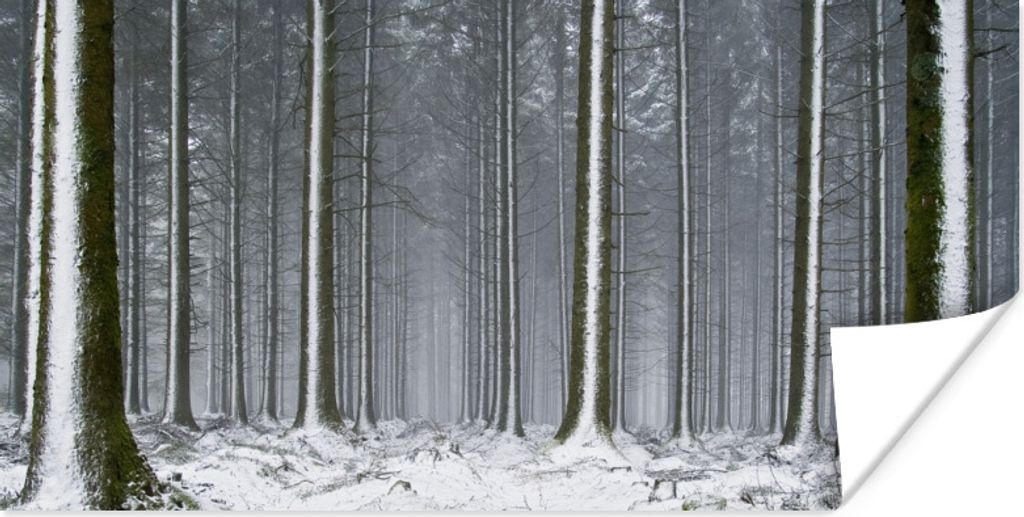 MuchoWow Poster Bäume - Winter - Schnee 160x80 cm - Foto Poster