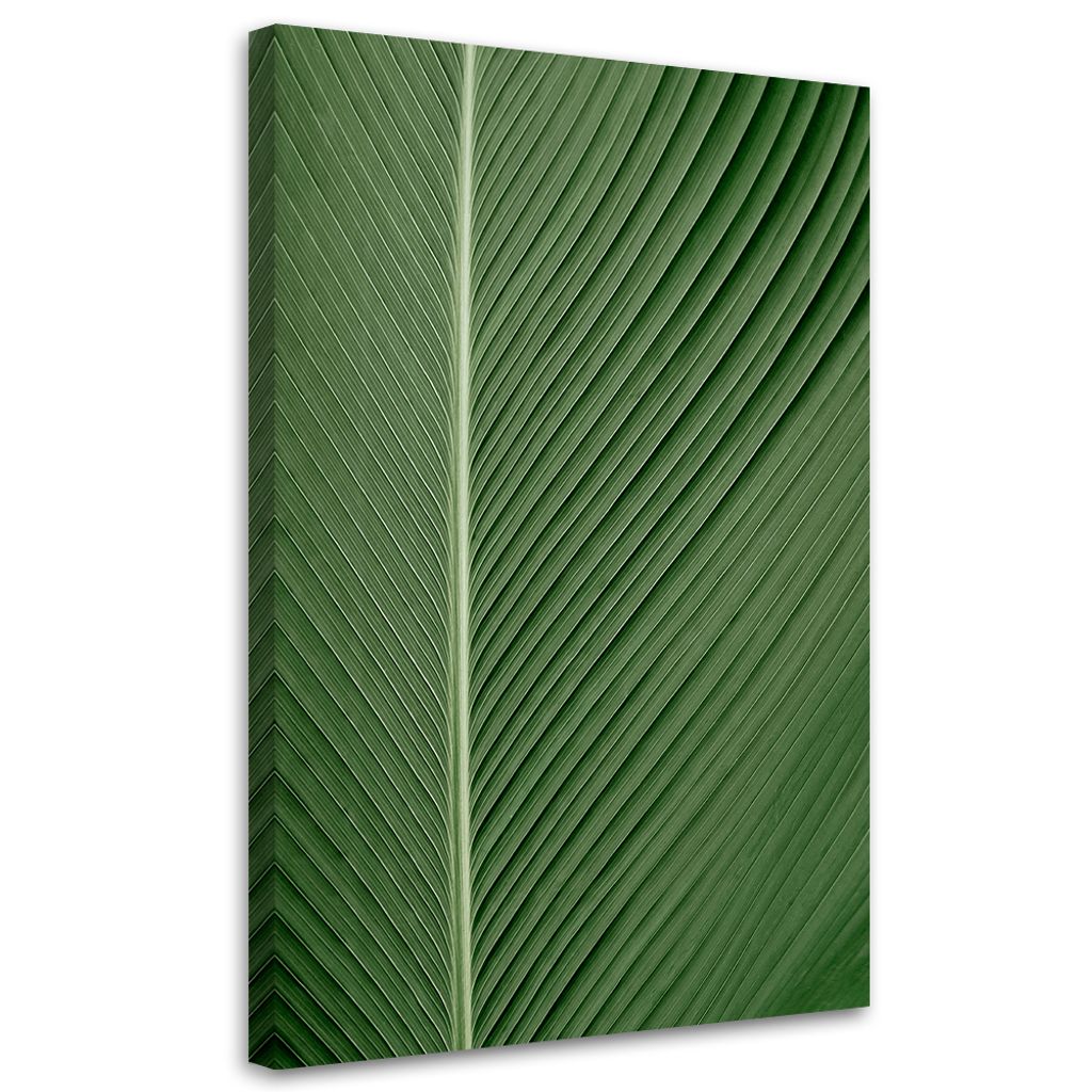 Leinwandbild Bananenblatt, Makro 80x120 Feeby Grün bild für die wand bereit zum aufhängen