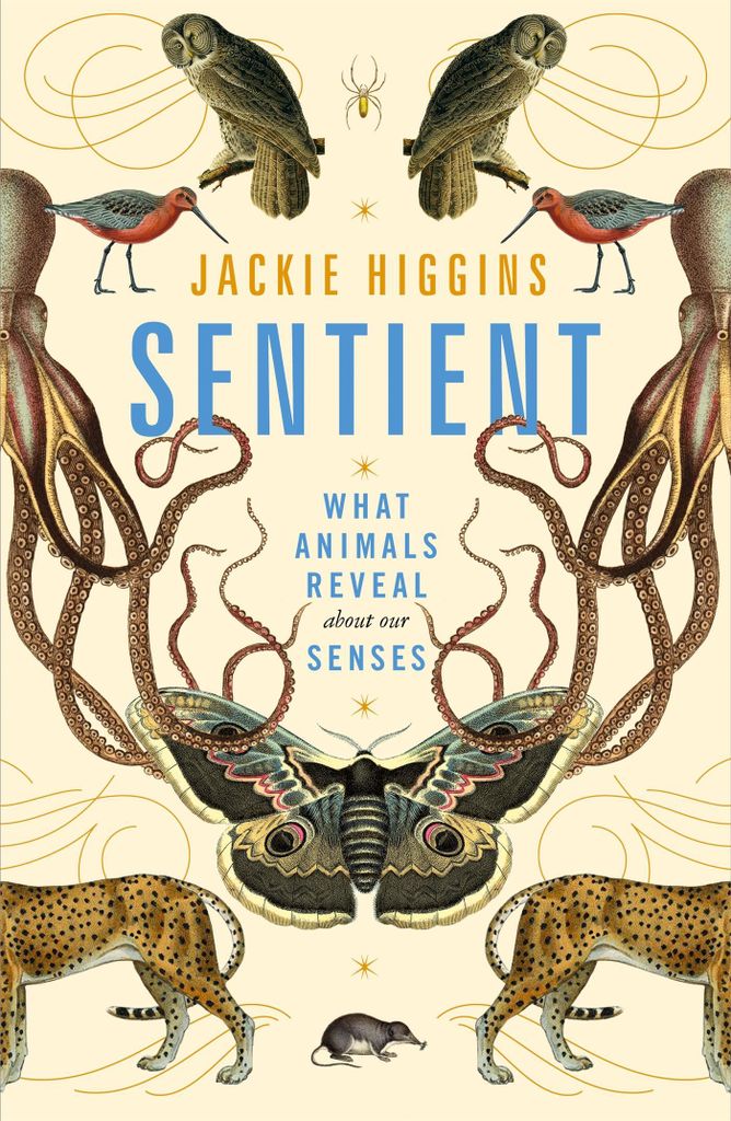 Sentient – Lingua: Inglese