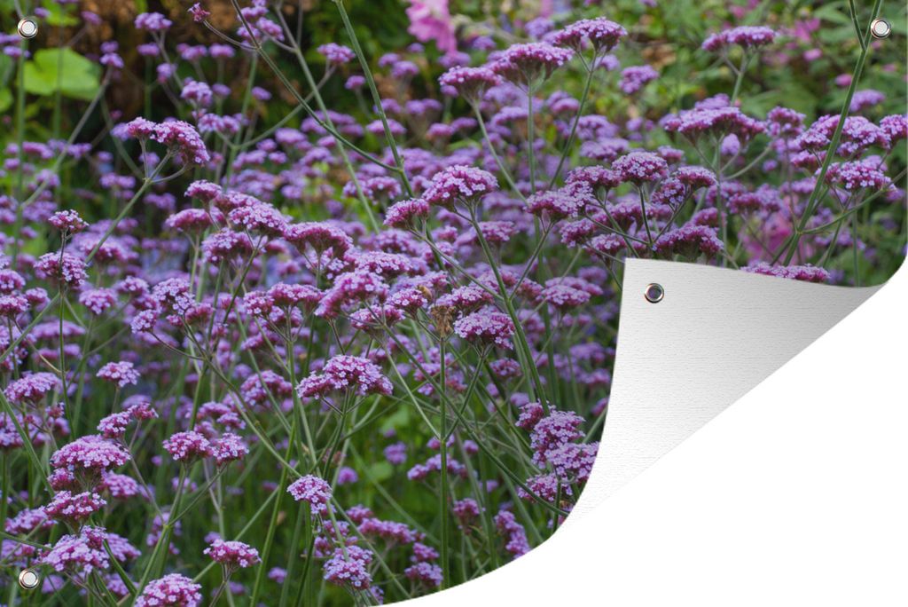 MuchoWow 90x60 cm Outdoor-Poster Gartendeko Sichtschutz Garten Poster für den Garten Feld im Sonnenlicht