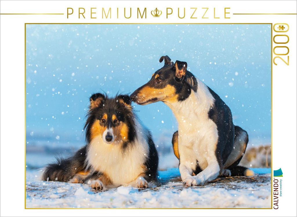 CALVENDO Puzzle Ein schönes Paar - Langhaar und Kurzhaar | 2000 Teile Lege-Größe 90x67cm Foto-Puzzle für glückliche Stunden
