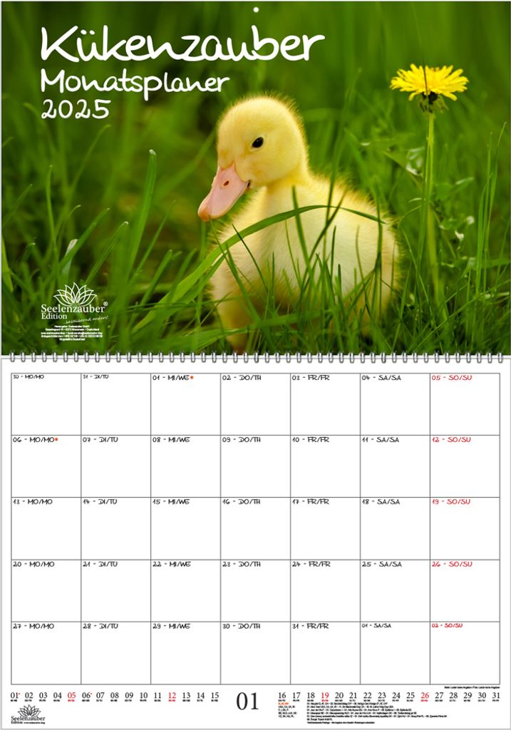 Kükenzauber Planer DIN A2 Kalender für 2025 Küken - Seelenzauber