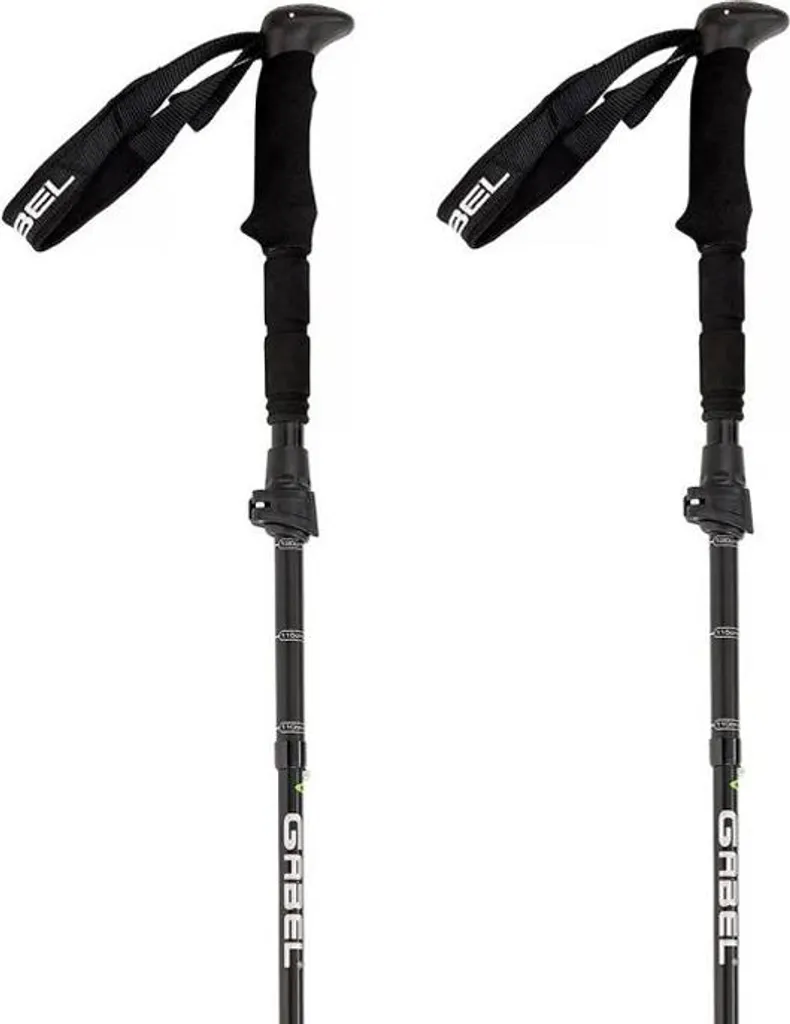 Bâtons de randonnée télescopiques Fourche Fr-3 Ef 110-130 cm argent