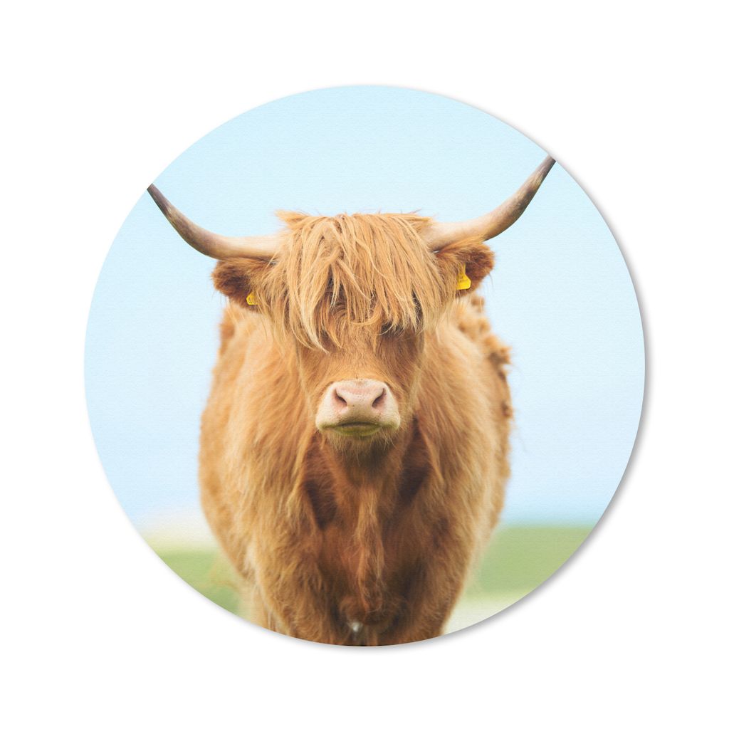 MuchoWow Mauspad Mousepad Schottischer Highlander - Haare - Gras 40x40 cm - Mousepads - Maus Mat - Pad - Mausunterlage - Schreibtisch Accessoires