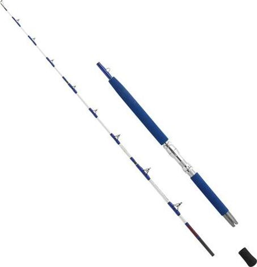 WFT ELECTRA SPEED JIG 2,00m 50lbs Pilkrute Bootsrute Produktbild 