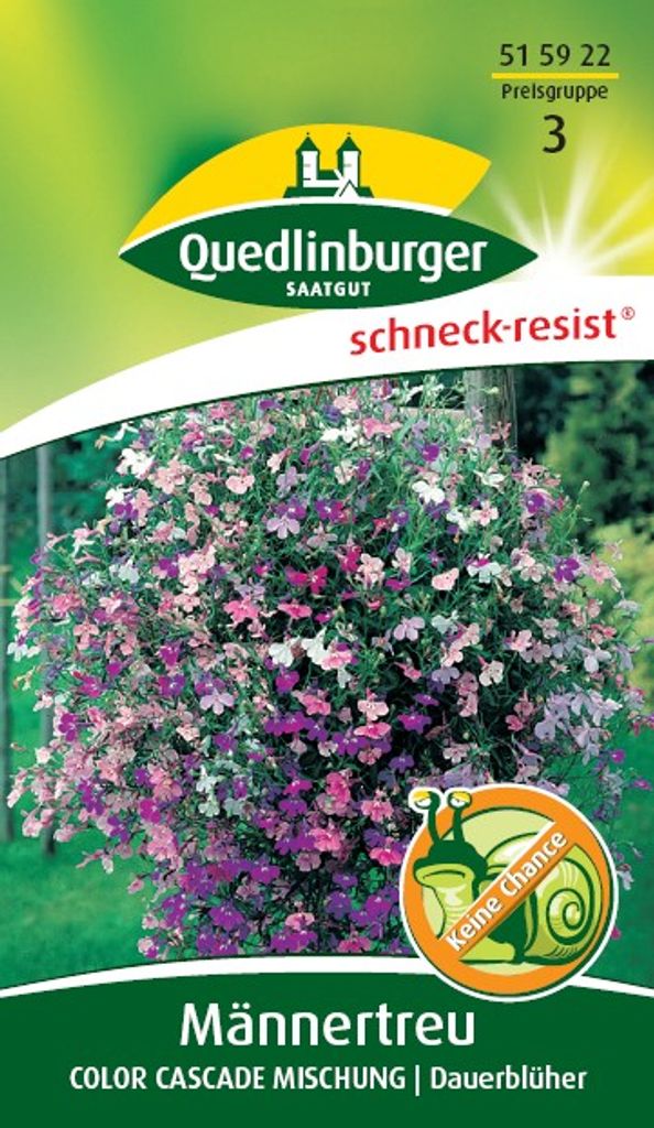 Quedlinburger Saatgut - Männertreu Color Cascade Mischung - Produktbild 