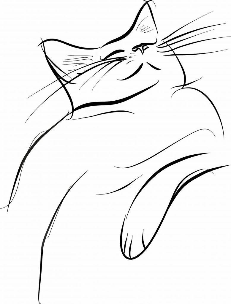 Plakat 56,6x86,4cm Skizze der Katzenzufriedenheit