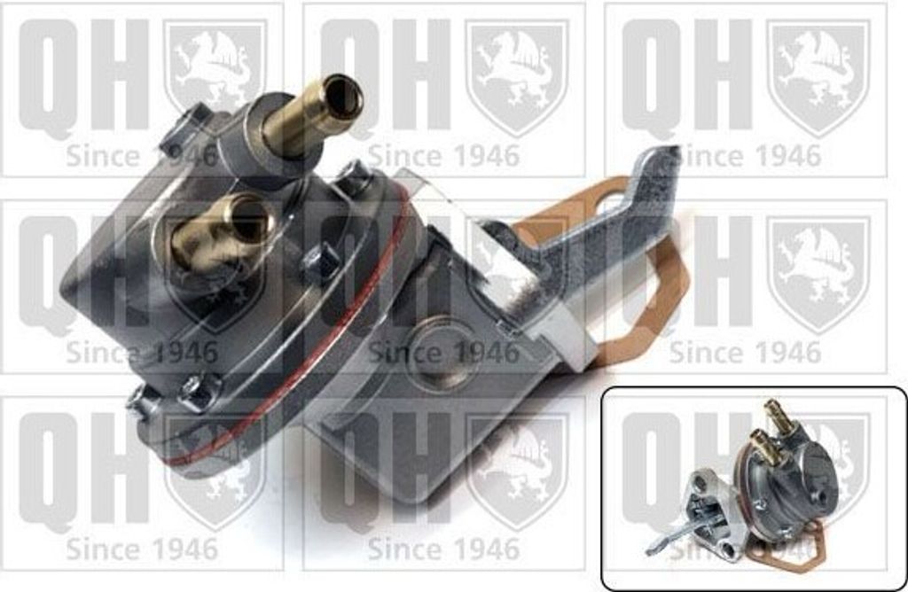 QUINTON HAZELL Benzinpumpe QFP301 für RENAULT RAPID Kasten (F40, G40) mechanisch