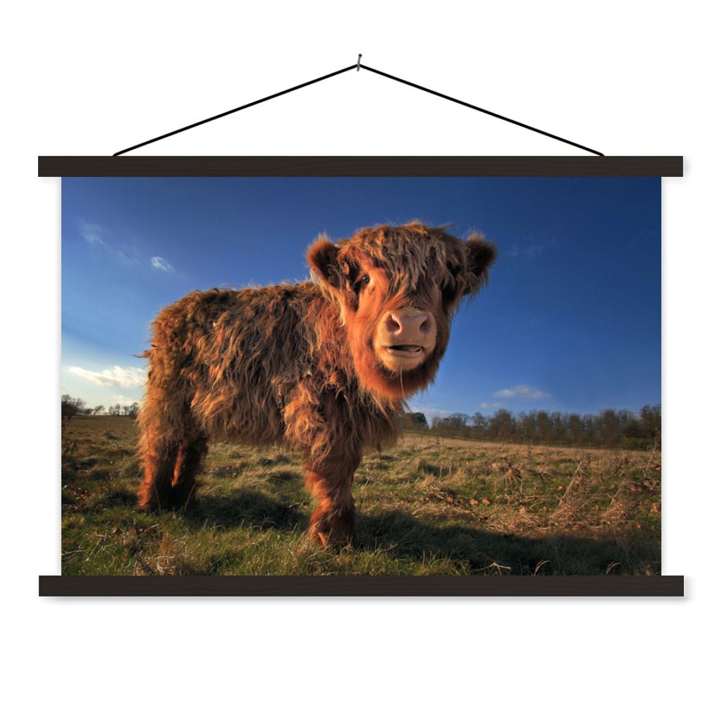 MuchoWow Textilposter Schottische Highlander - Himmel - Gras 150x100 cm mit schwarzem Rahmen - Schlafzimmer