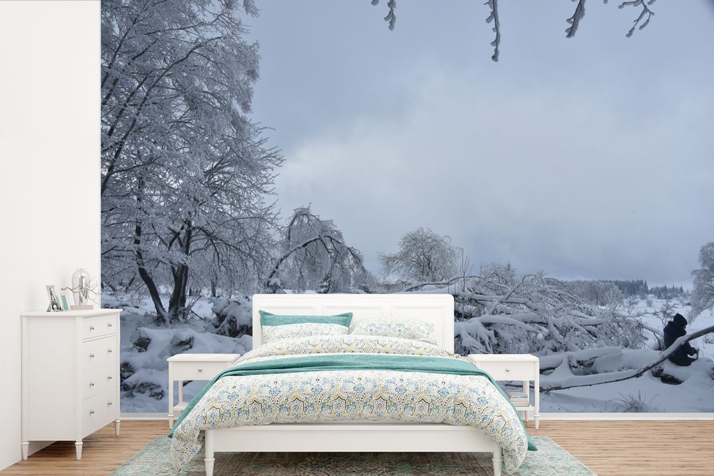 MuchoWow Fototapete für Wohnzimmer oder Schlafzimmer Wandtapete Vinyl Motivtapete Eine Winterlandschaft in den Bergen der Ardennen - 360x240 cm ...