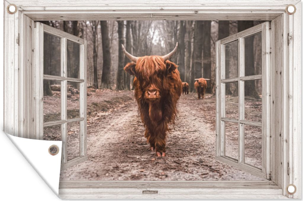 MuchoWow 90x60 cm Outdoor-Poster Gartendeko Sichtschutz Garten Poster für den Garten Ansicht - Schottischer Highlander - Fenster